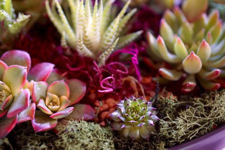 йõԣ⣺ԭɷݸٳɳ֮